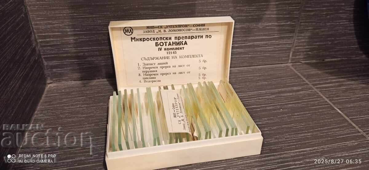 Microscope slides for botany, leaf, iris, algae, lichen