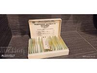 Microscope slides for botany, leaf, iris, algae, lichen