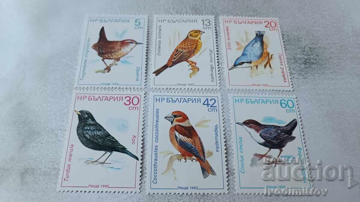 Пощенски марки НРБ Пойни птици 1987 Пощенски марки НРБ Пойни птици 1987