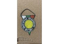 Флагче Българска федерация футбол