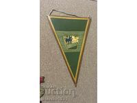 Флагче Берое Стара  Загора