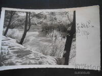 Παλιά φωτογραφία, Χ.Ν.Γ. και Ρ. Χρ., Παζαρτζίκ