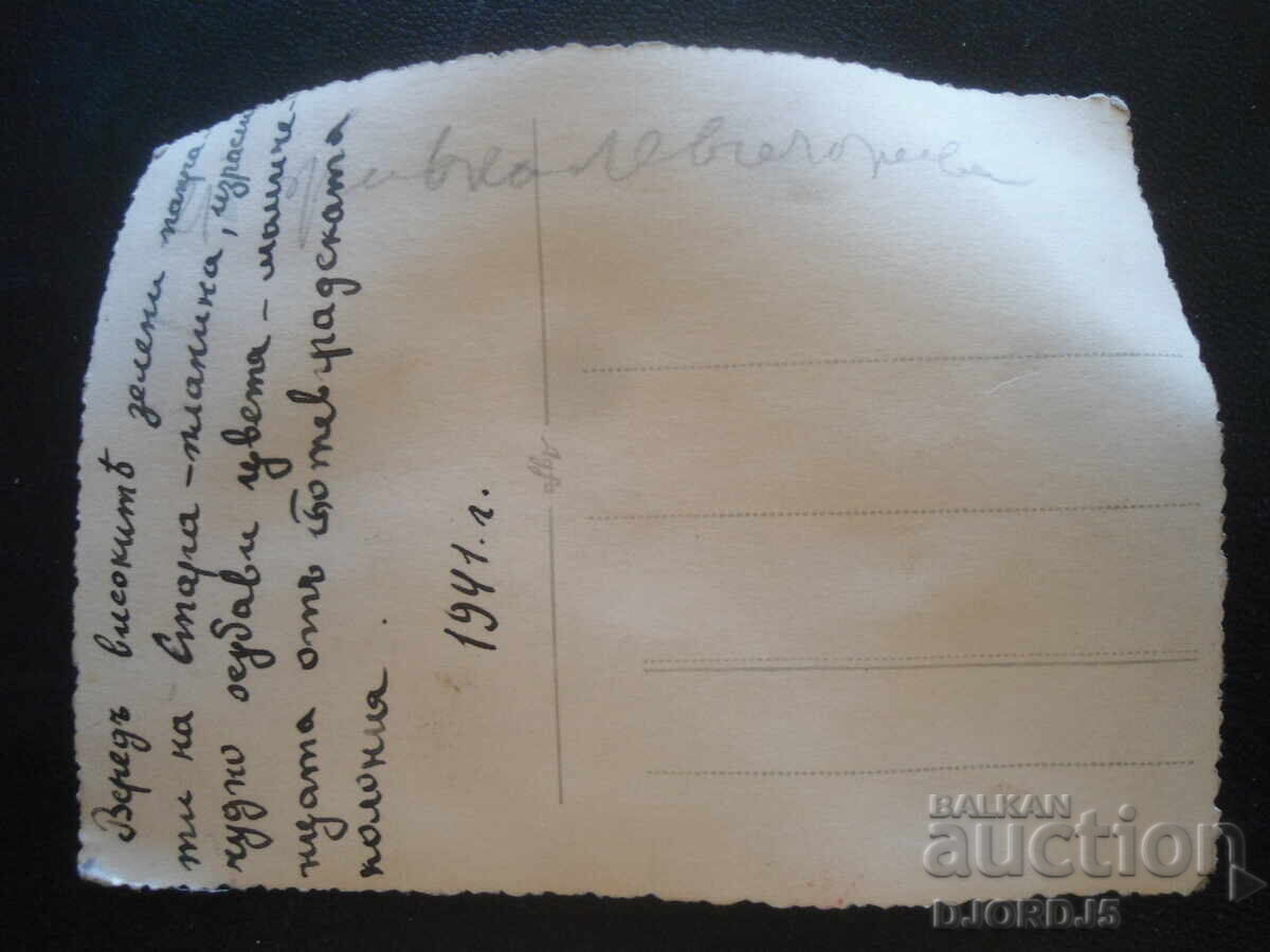 Παλιά φωτογραφία, Στάρα Πλάνινα, αποικία Μπότεβγκραντ, 1941 με τιμή 3.00 BGN | € 1.53