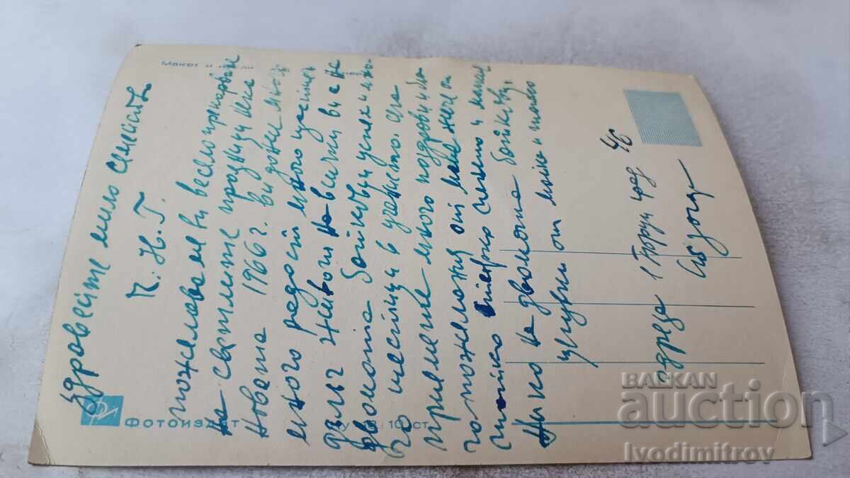 Postcard Layout and Dolls 1966 with price 0.85 BGN | € 0.43 Postcard Layout and Dolls 1966 with price 0.85 BGN | € 0.43