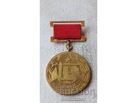 Badge For Active Trade Union Activity Central Committee of the Construction Workers' Trade Union