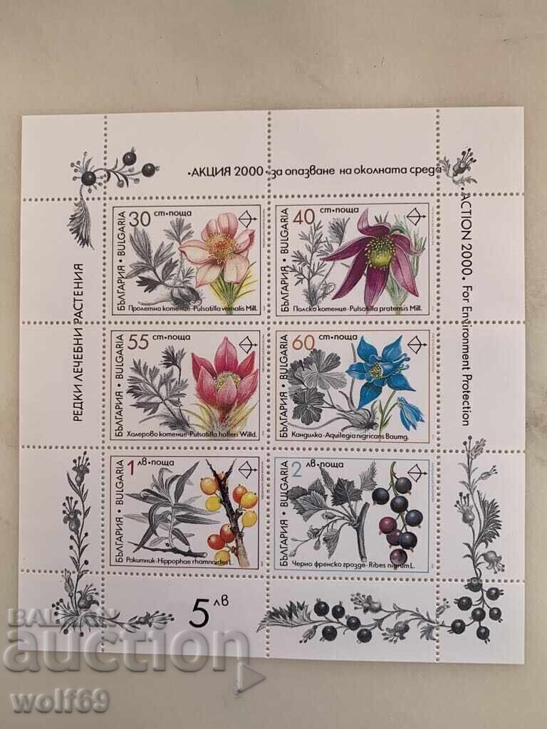 Block, stamp-Rare and medicinal plants-1991.