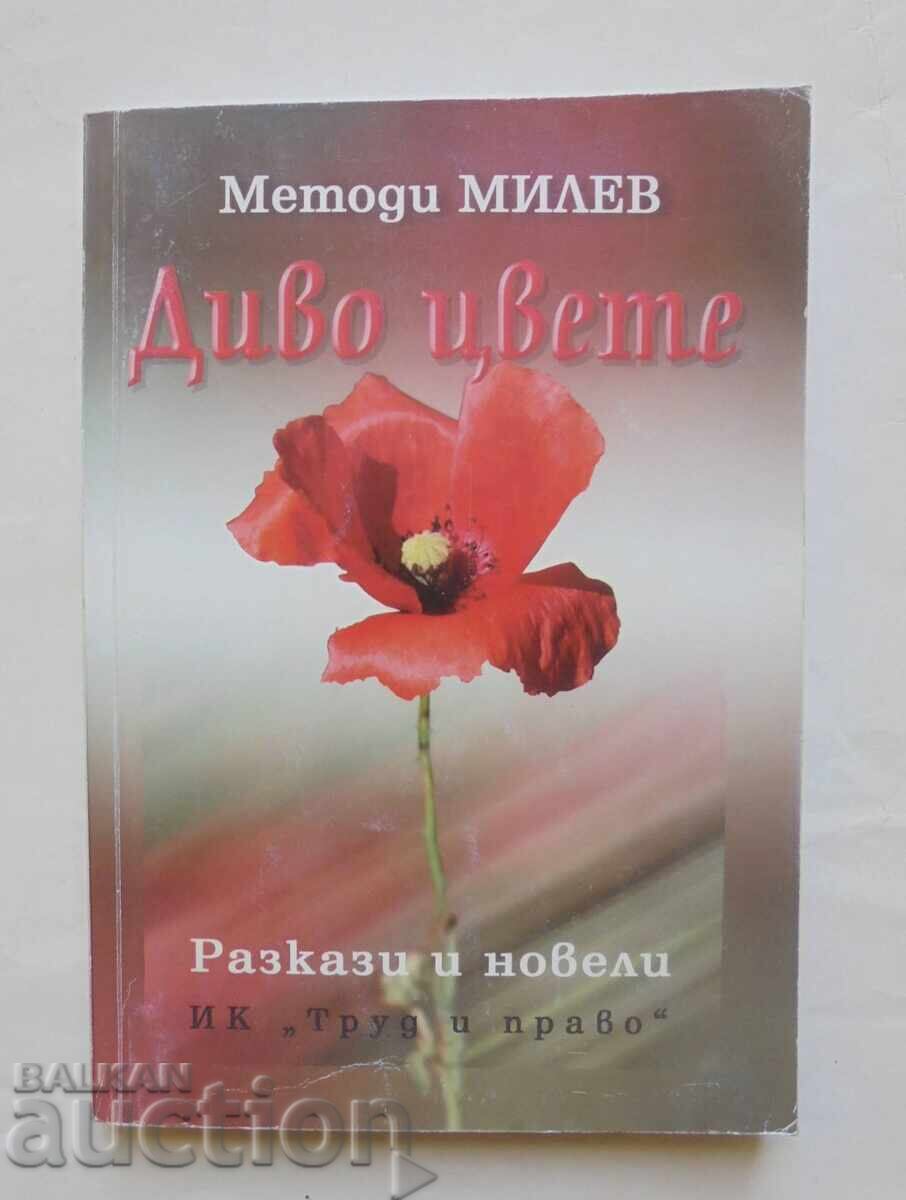 Άγριο λουλούδι - Μέθοδι Μίλεφ 2007 Άγριο λουλούδι - Μέθοδι Μίλεφ 2007