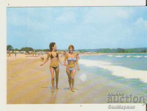 Bulgaria Postcard, Chernomorets Village, Burgas Region, Camping "Gradina" 2