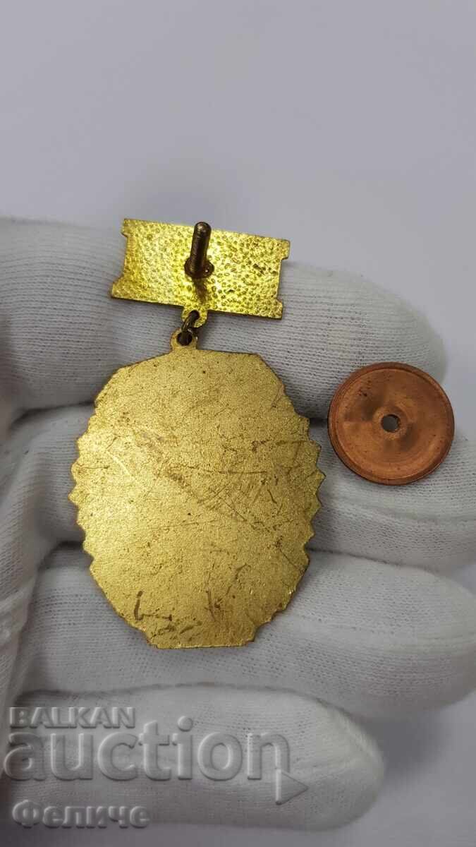 Рядък социалистически знак, значка Отличник Гранични войски с цена 65.00 лв. | € 33.23