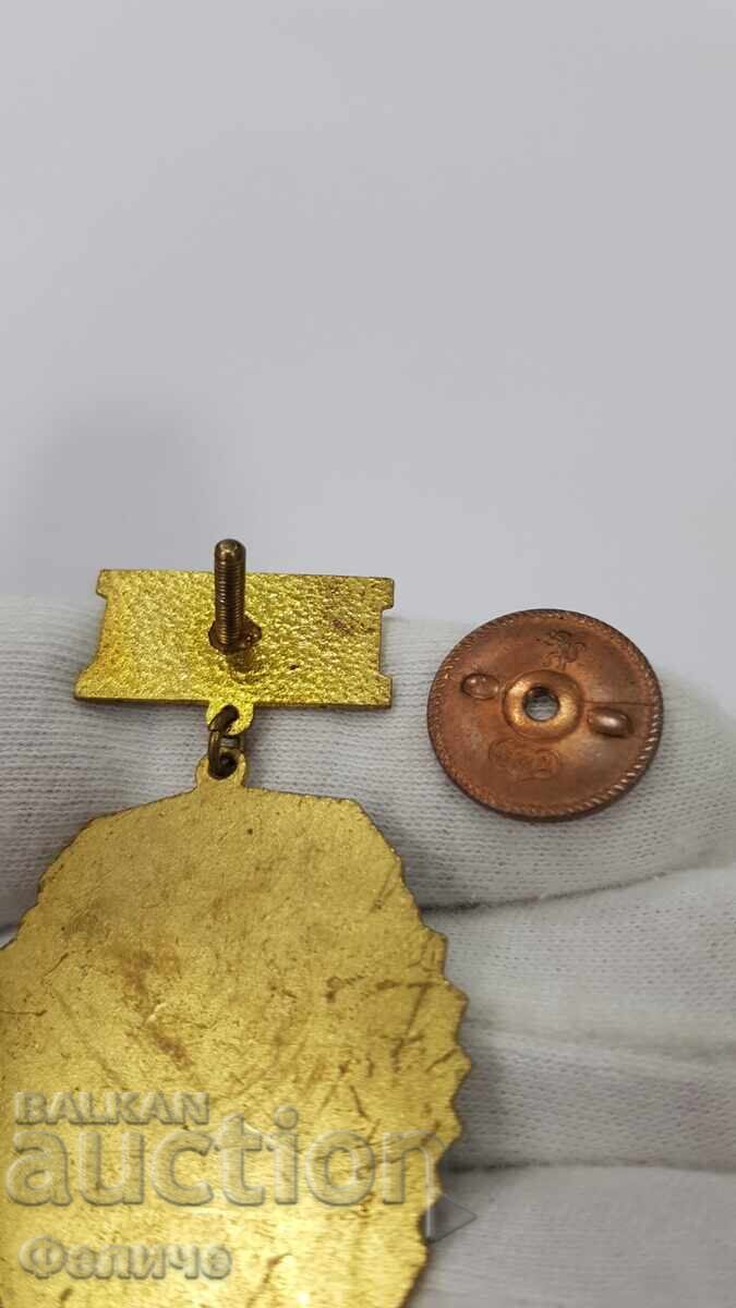 Доставка на Рядък социалистически знак, значка Отличник Гранични войски