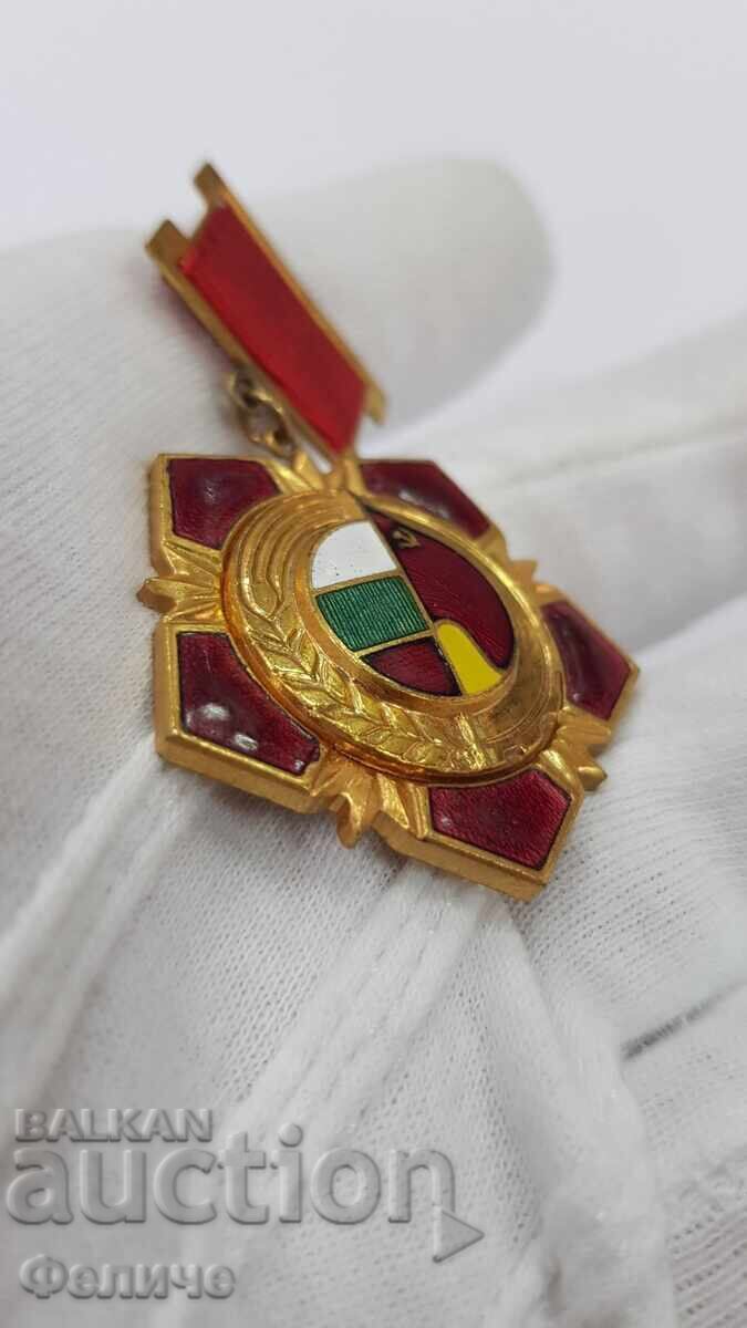 Very rare badge, "Meritorious Activist" - Fatherland Front - 5
