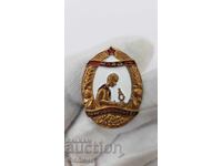 Semn socialist de colecție, insignă Tânărul Naturist