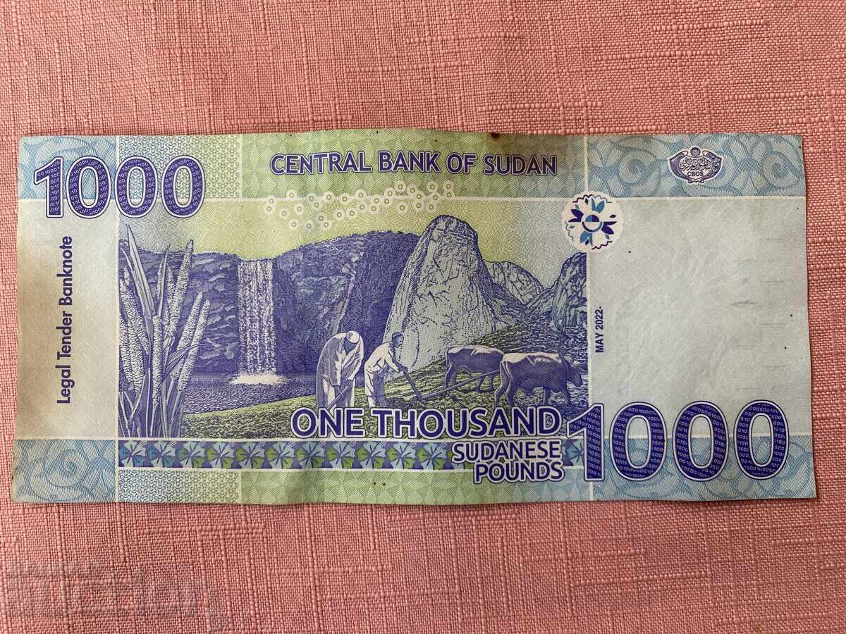 Судан 1000 паунда 2022 с цена 9.00 лв. | € 4.60