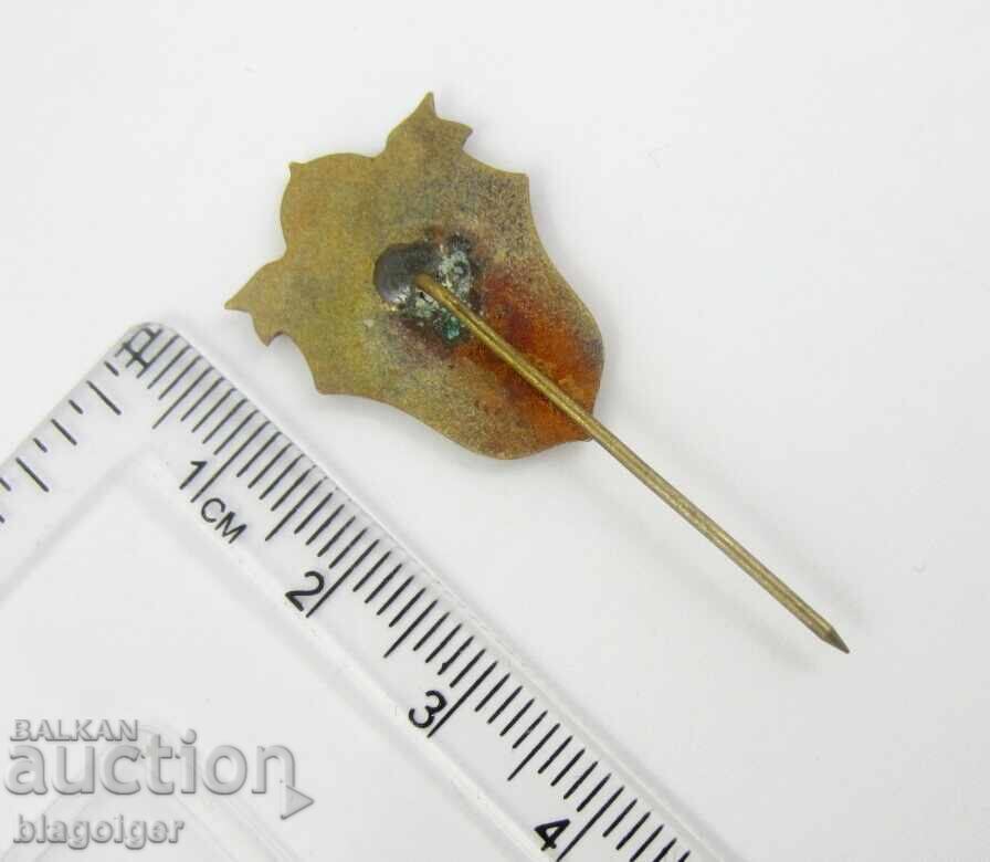 Δημοπρασία Ποδοσφαιρικός σύλλογος - ΠΑΡΤΙΖΑΝ ΡΟΥΣΕ - Email - Πρωτότυπο