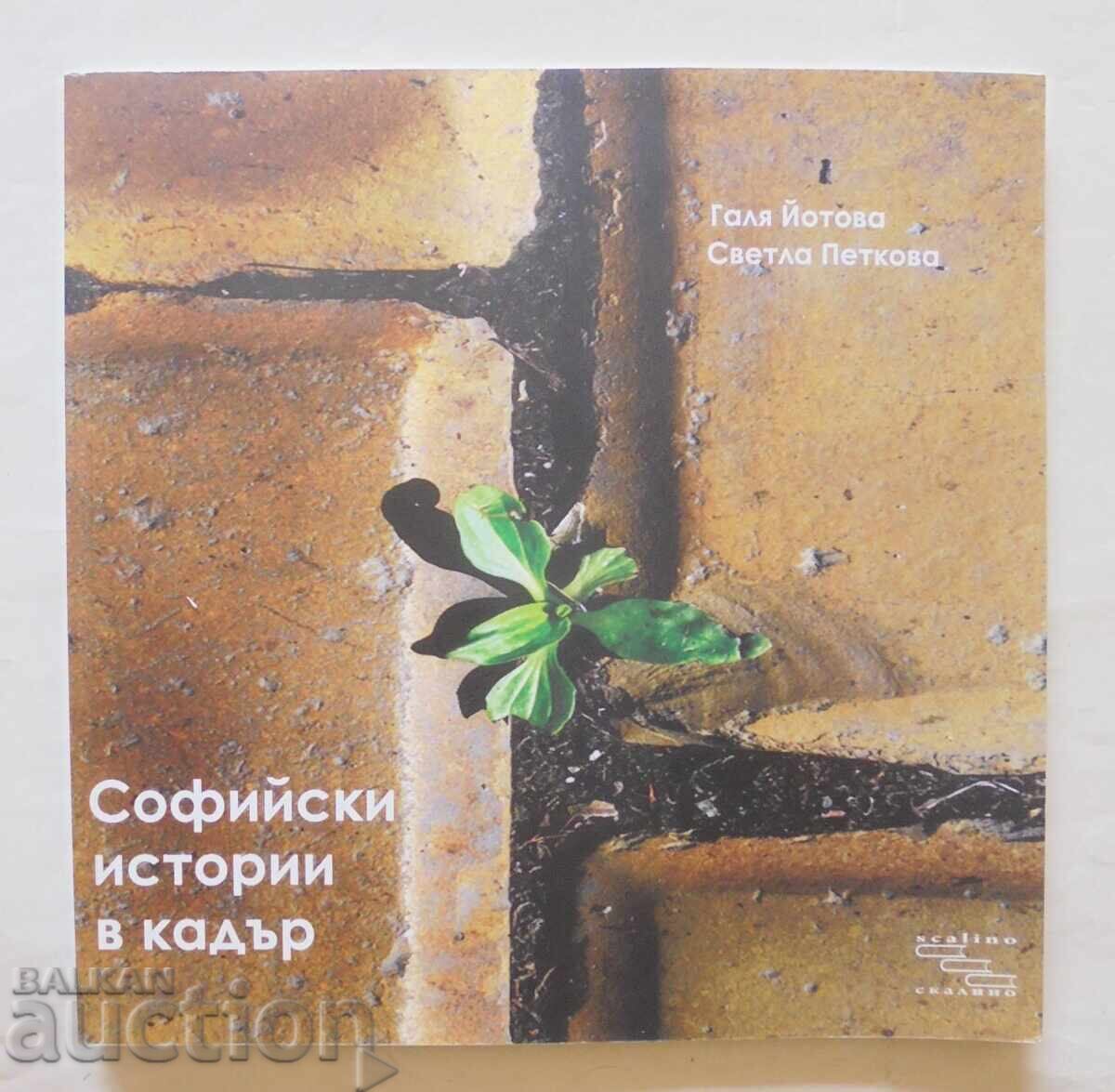 Σοφιανές ιστορίες σε κάδρο - Γκαλιά Γιότοβα, Σβέτλα Πέτκοβα 2011 Σοφιανές ιστορίες σε κάδρο - Γκαλιά Γιότοβα, Σβέτλα Πέτκοβα 2011