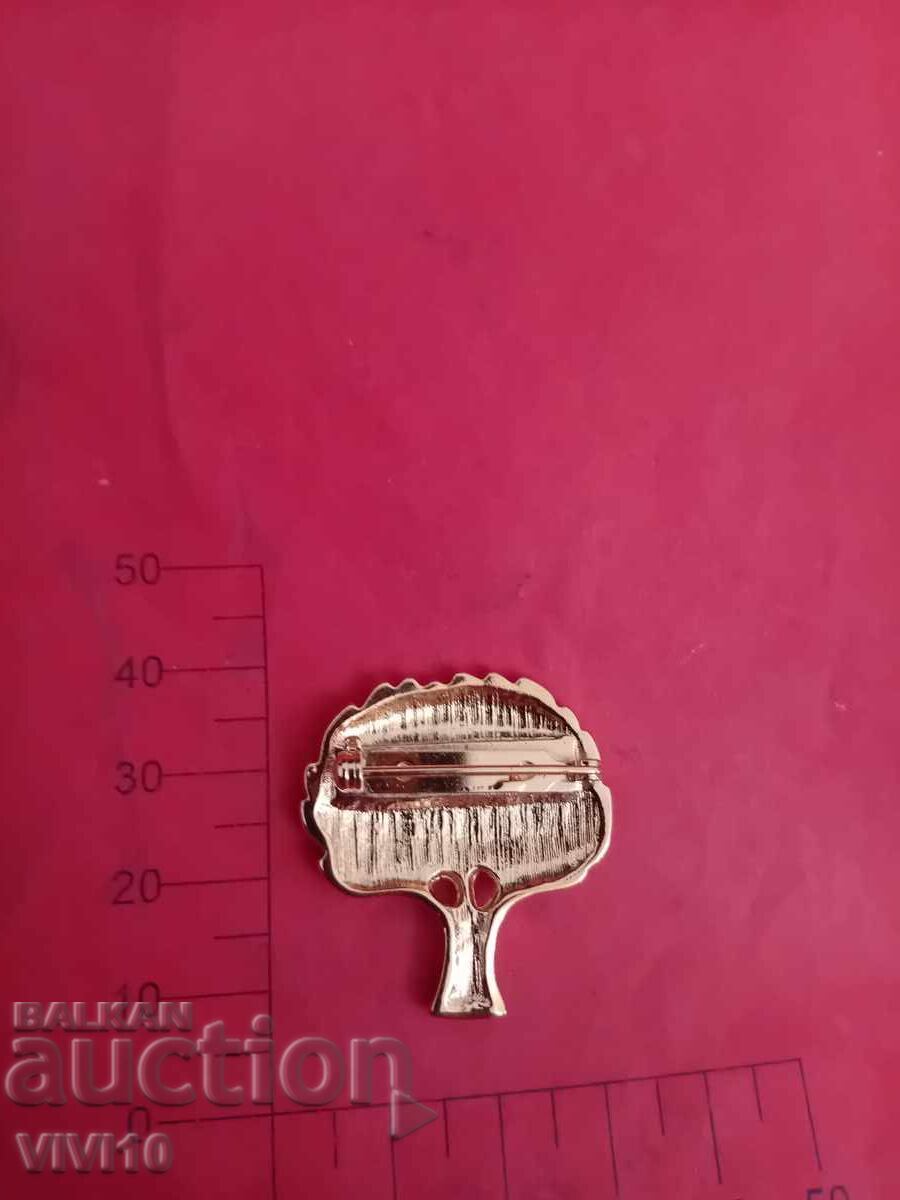 Старинна брошка с камъни с цена € 10.00 | 19.56 лв.