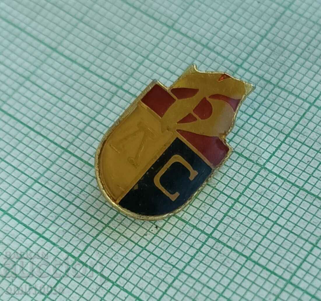 Аукцион Значка- 75 години Левски Спартак