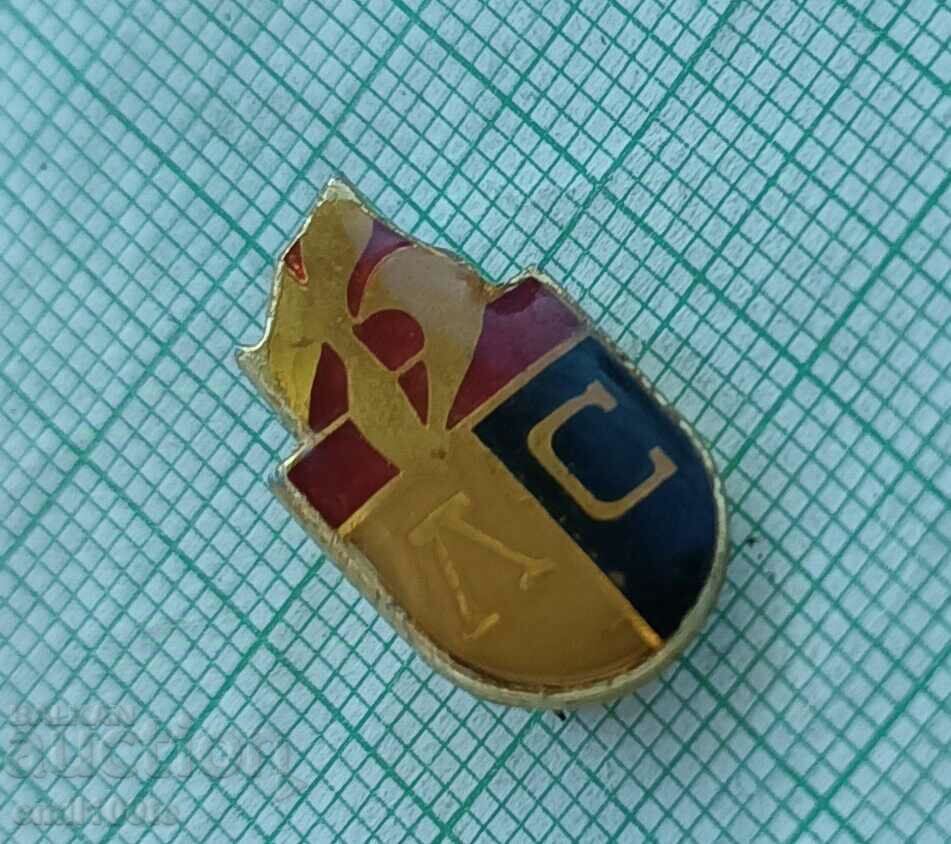 Доставка на Значка- 75 години Левски Спартак