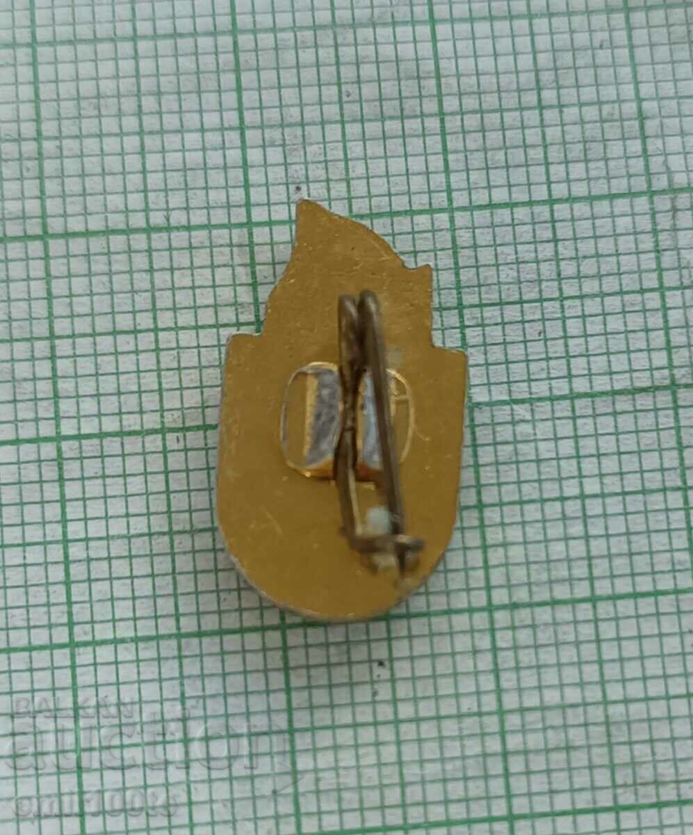 Значка- 75 години Левски Спартак - 5