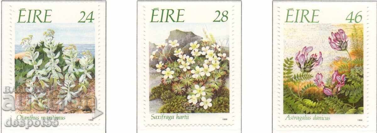 1988. Είρε. Απειλούμενα φυτά