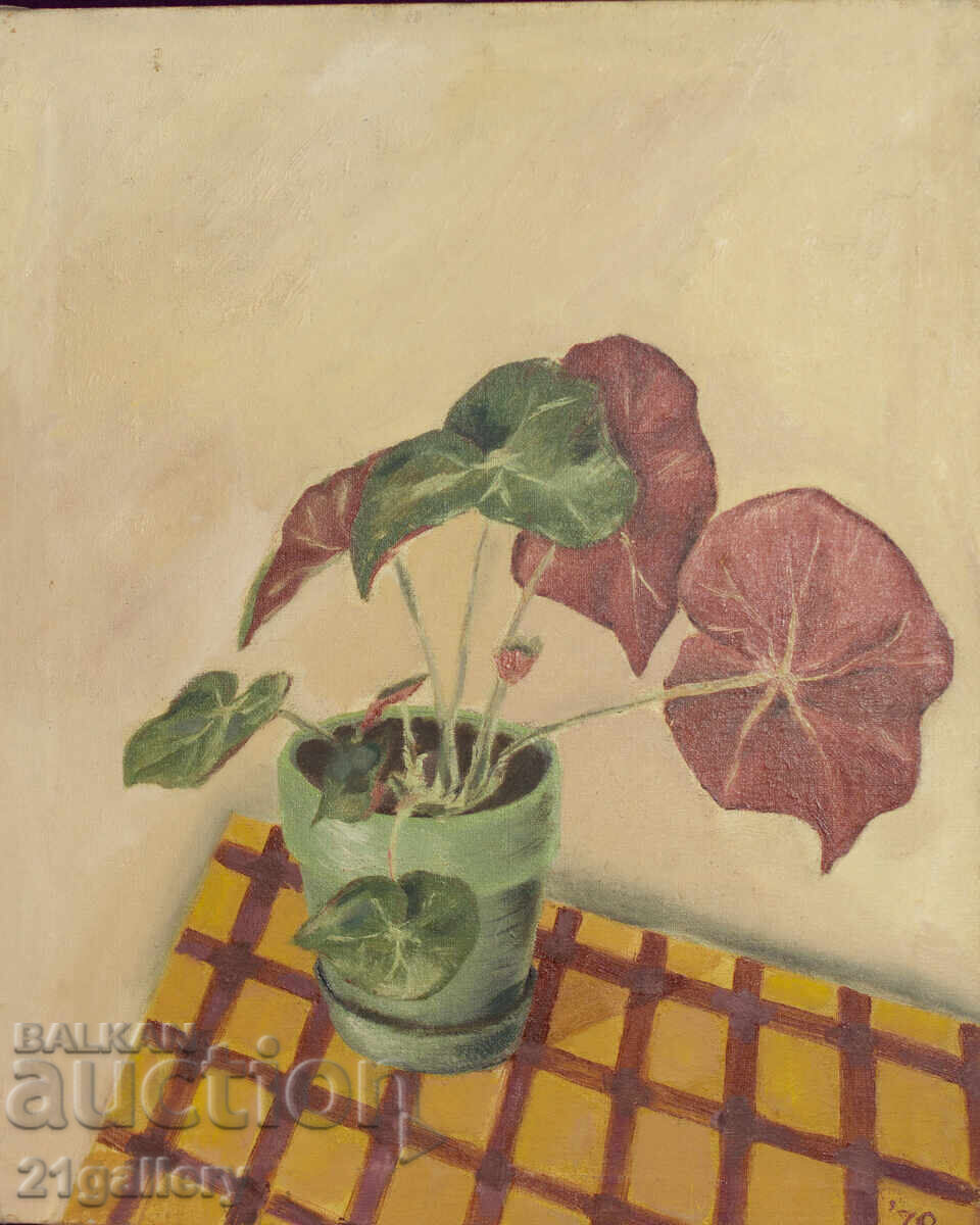 Old oil painting, still life with flowers, 1979 with price 450.00 BGN | € 230.08