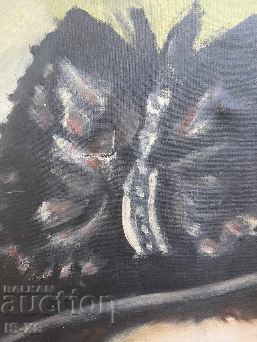 Πορτρέτο - 5 Πορτρέτο - 5