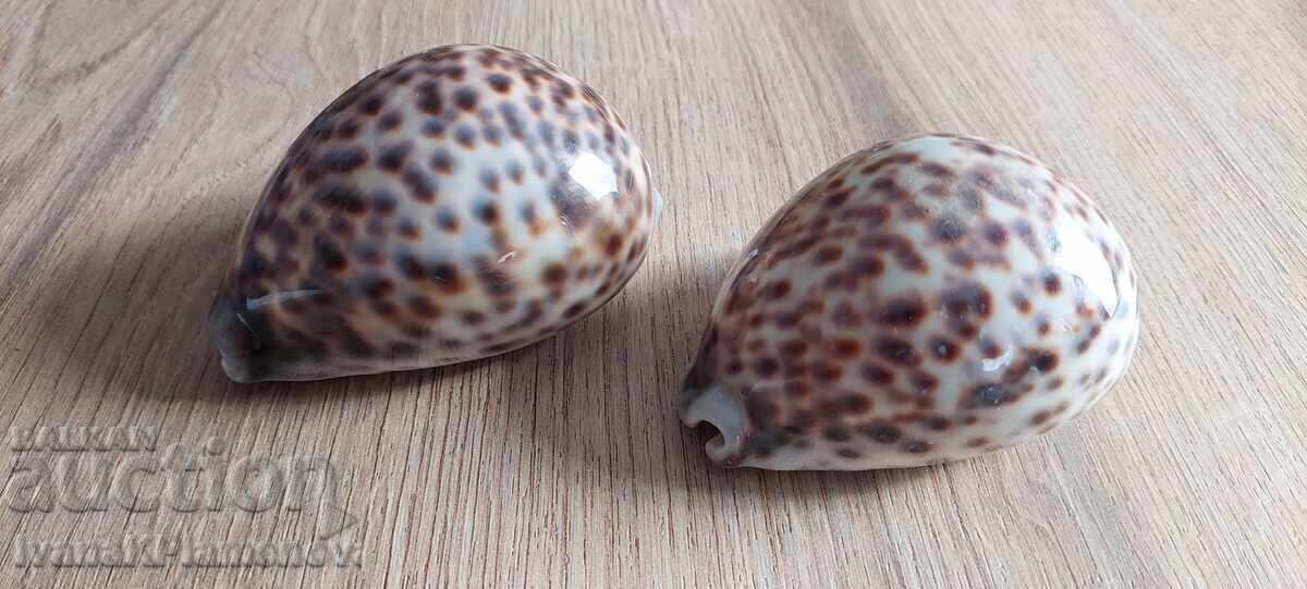 Sink for connoisseurs, two pieces, excellent with price 20.00 BGN | € 10.23