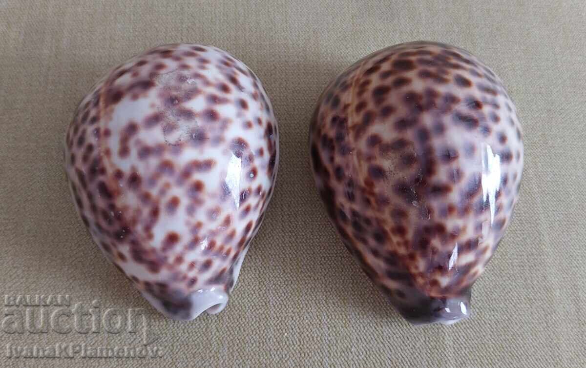 Δημοπρασία Νιπτήρες για γνώστες, δύο τεμάχια, άριστοι Δημοπρασία Νιπτήρες για γνώστες, δύο τεμάχια, άριστοι