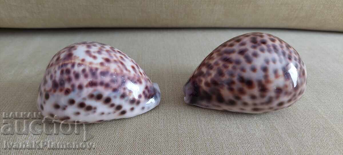 Sink for connoisseurs, two pieces, excellent - 6