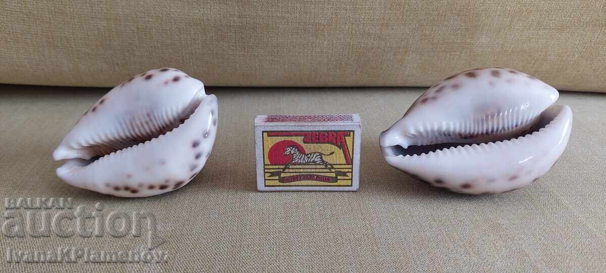 Sink for connoisseurs, two pieces, excellent - 7