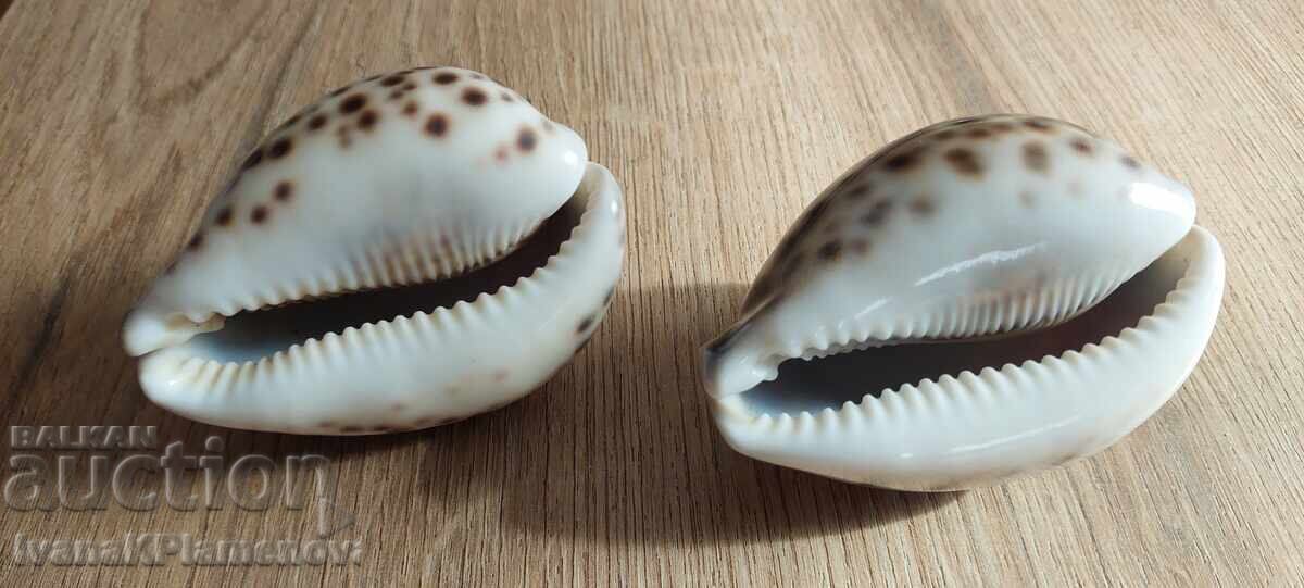 Νιπτήρες για γνώστες, δύο τεμάχια, άριστοι Νιπτήρες για γνώστες, δύο τεμάχια, άριστοι