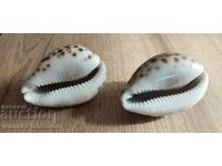 Chiuvetă pentru cunoscători, două bucăți, excelente