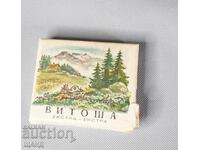Old Vitosha Extra Cigarette Box