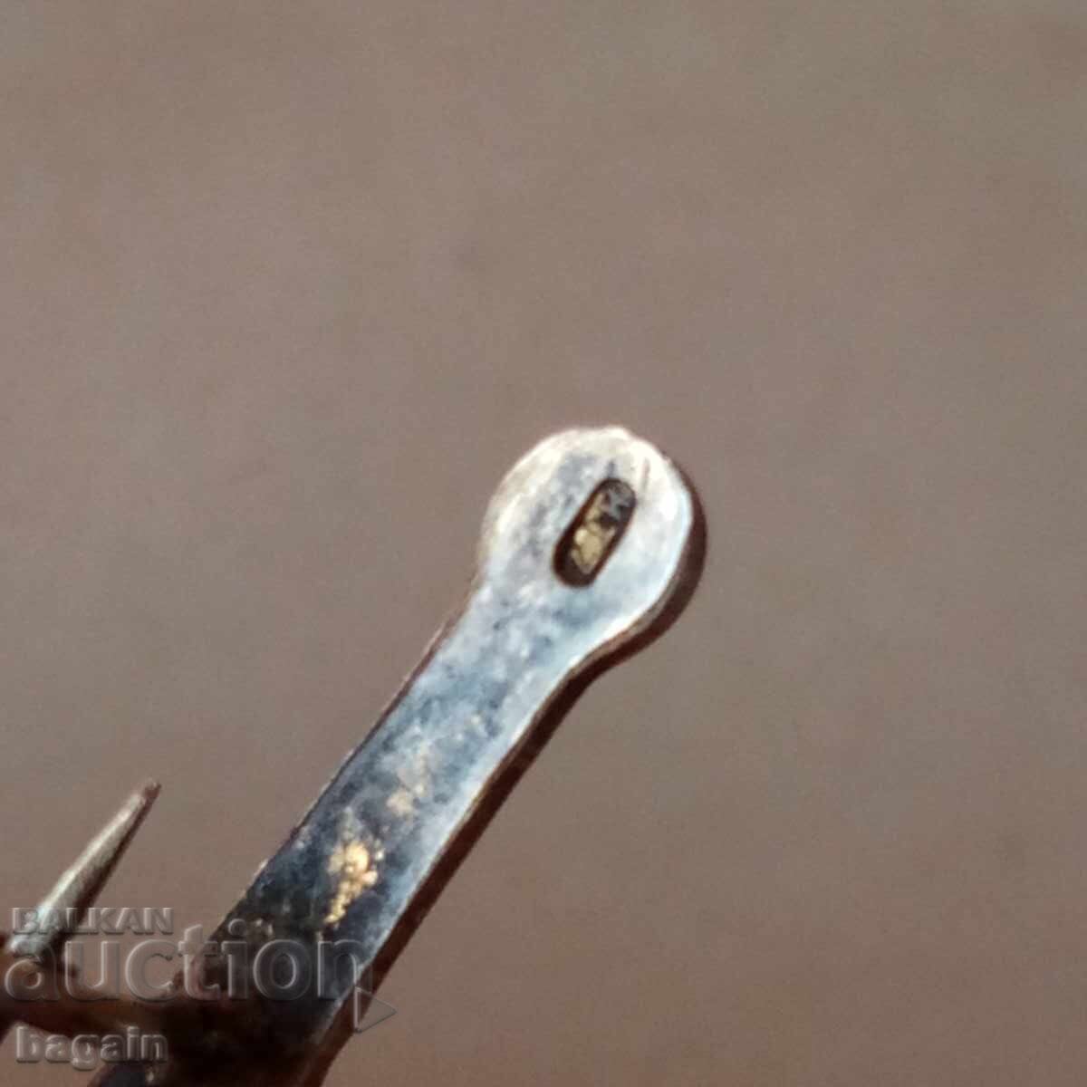 Ασημένια καρφίτσα, ΕΣΣΔ - 5 Ασημένια καρφίτσα, ΕΣΣΔ - 5