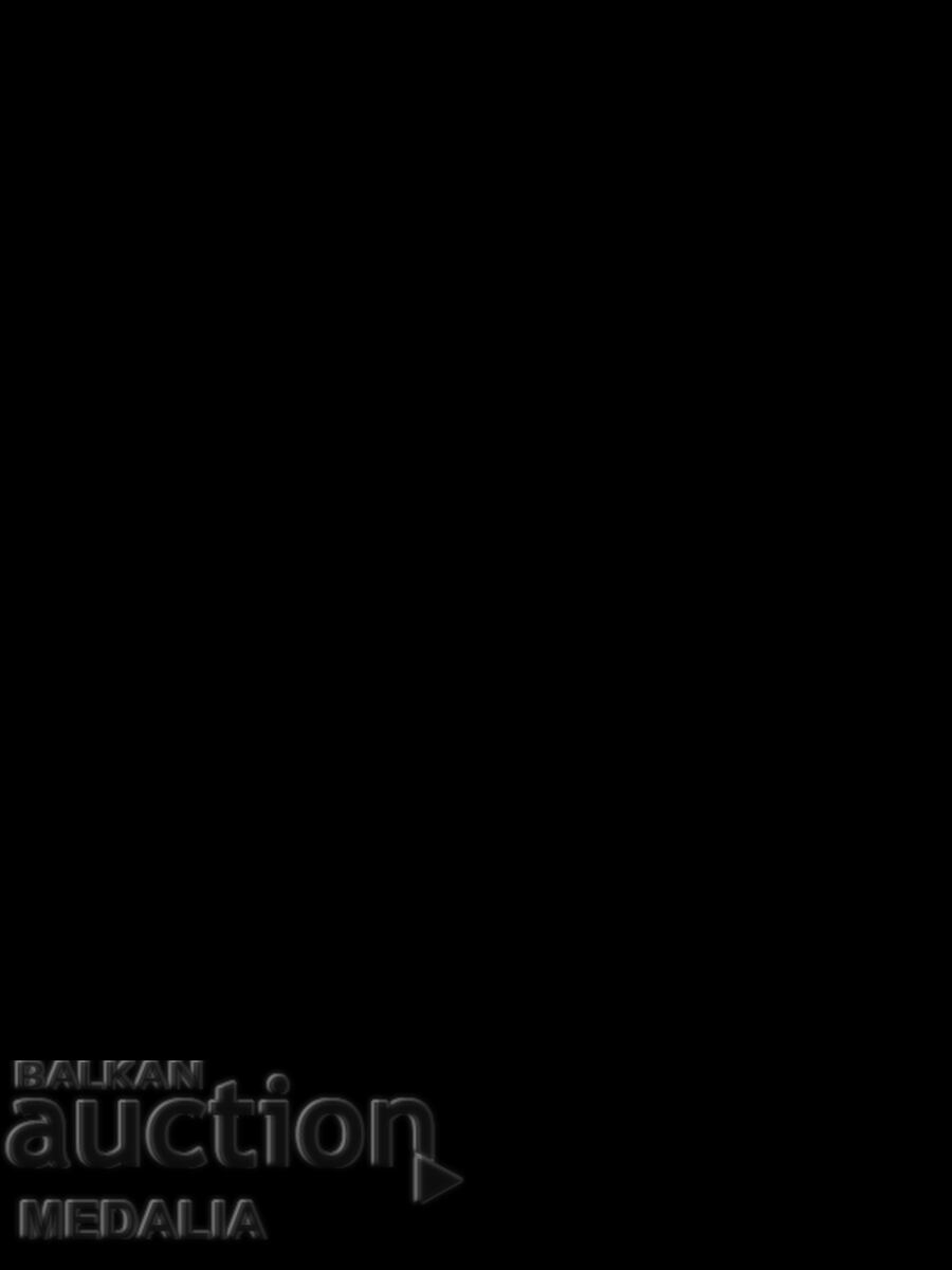 Very Rare Imperial Enamel Badge - Military Academy