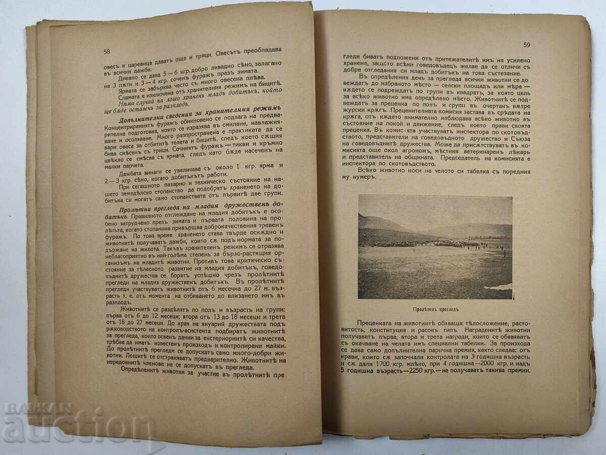 Доставка на 1938 Говедовъдството в развъдната област Доставка на 1938 Говедовъдството в развъдната област