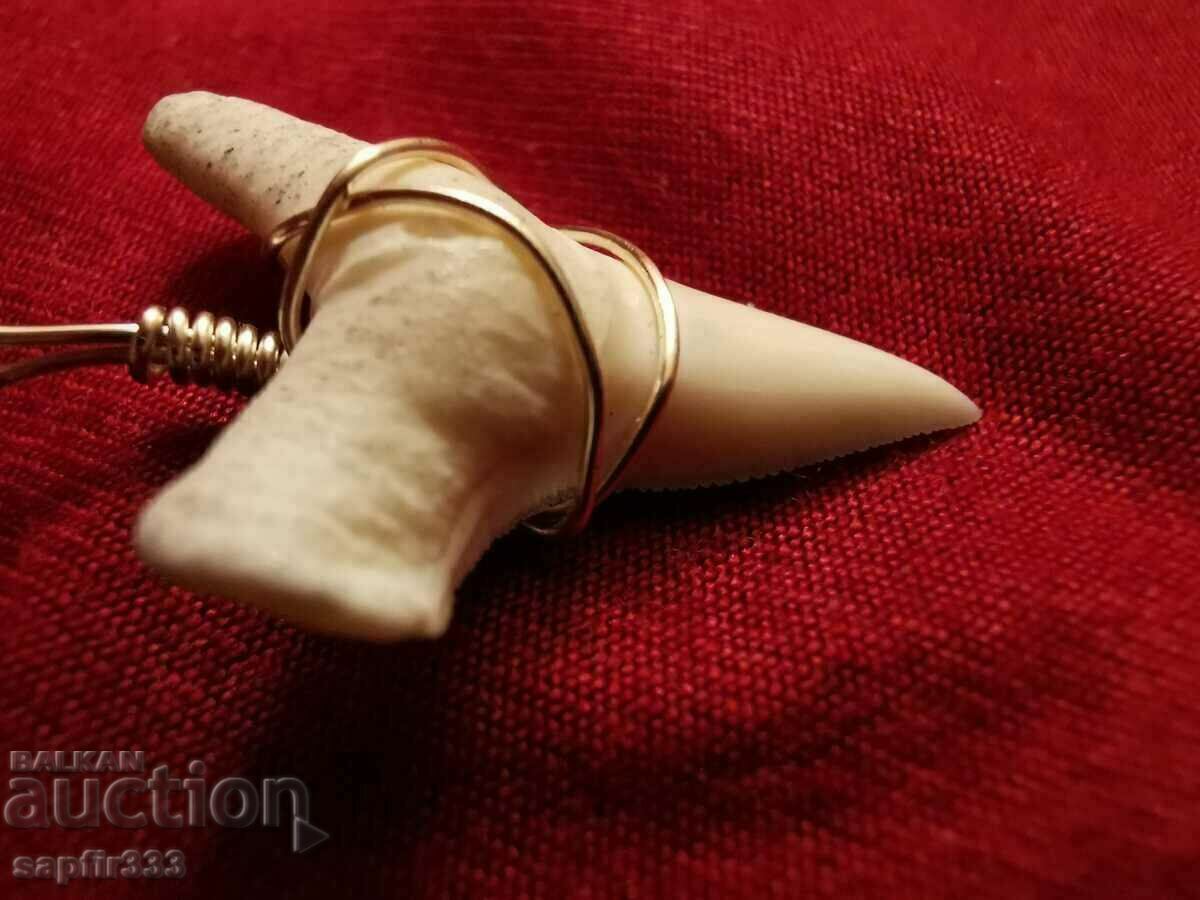 Аукцион УНИКАЛЕН ГЕРДАН ЗЪБ АКУЛА Аукцион УНИКАЛЕН ГЕРДАН ЗЪБ АКУЛА