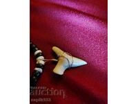 ΜΟΝΑΔΙΚΟ ΚΟΛΙΕ ΔΟΝΤΙ ΚΑΡΧΑΡΙΑ