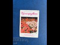Bulgarcolor Calendar 1970