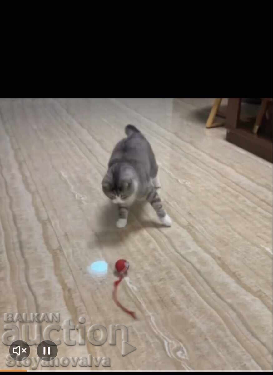 Cat toy - glowing and USB rechargeable Cat toy - glowing and USB rechargeable
