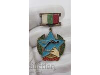 Много ранен рядък знак I-ви комбиниран скок-Мъже - ски 1950г