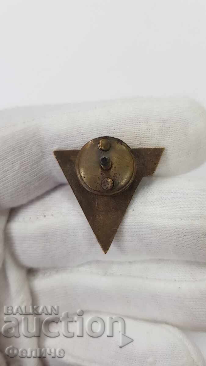 Many rare sign, badge - skis - Championship 1950 - 1955 with price 75.00 BGN | € 38.35