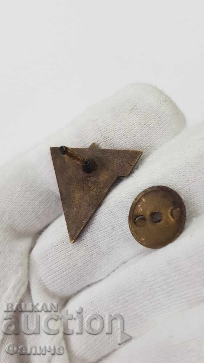 Licitație Semn foarte rar, insignă - schi - Campionat 1950 - 1955