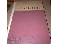 Merchandise Study - 1962