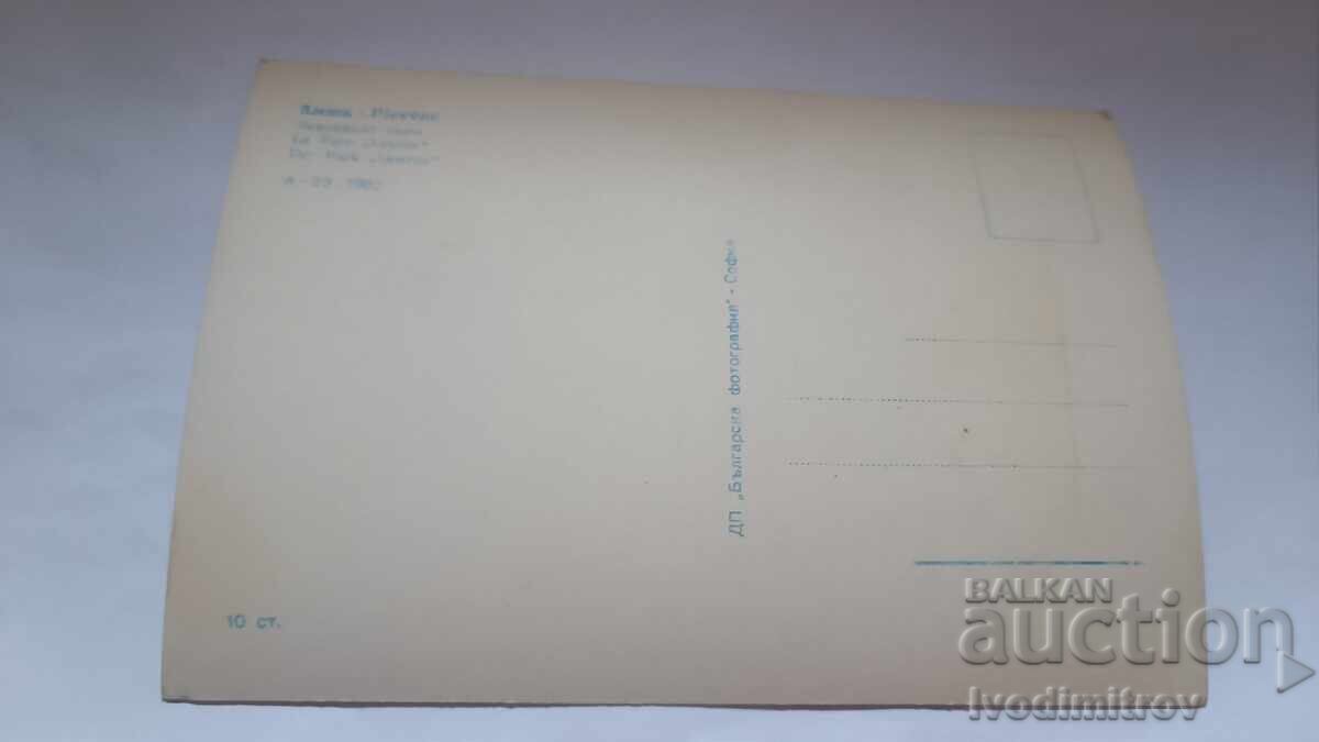 Ταχυδρομική κάρτα Πλέβεν Πάρκο Δάφνης 1962 με τιμή 2.85 BGN | € 1.46