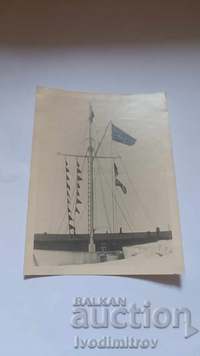 Fotografie Piloni cu steaguri Fotografie Piloni cu steaguri