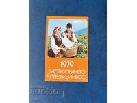 Calendar DZI 1979