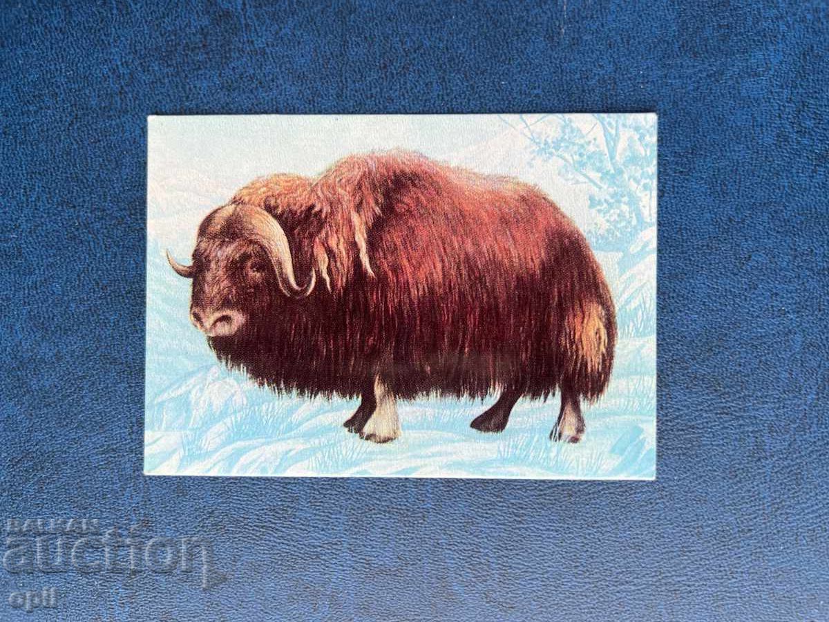 Ημερολόγιο 1979