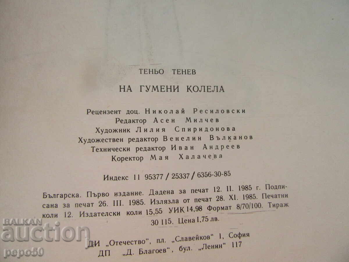 ΣΕ ΕΛΑΣΤΙΚΑ - Τένιο Τένεφ /1985/ - 5