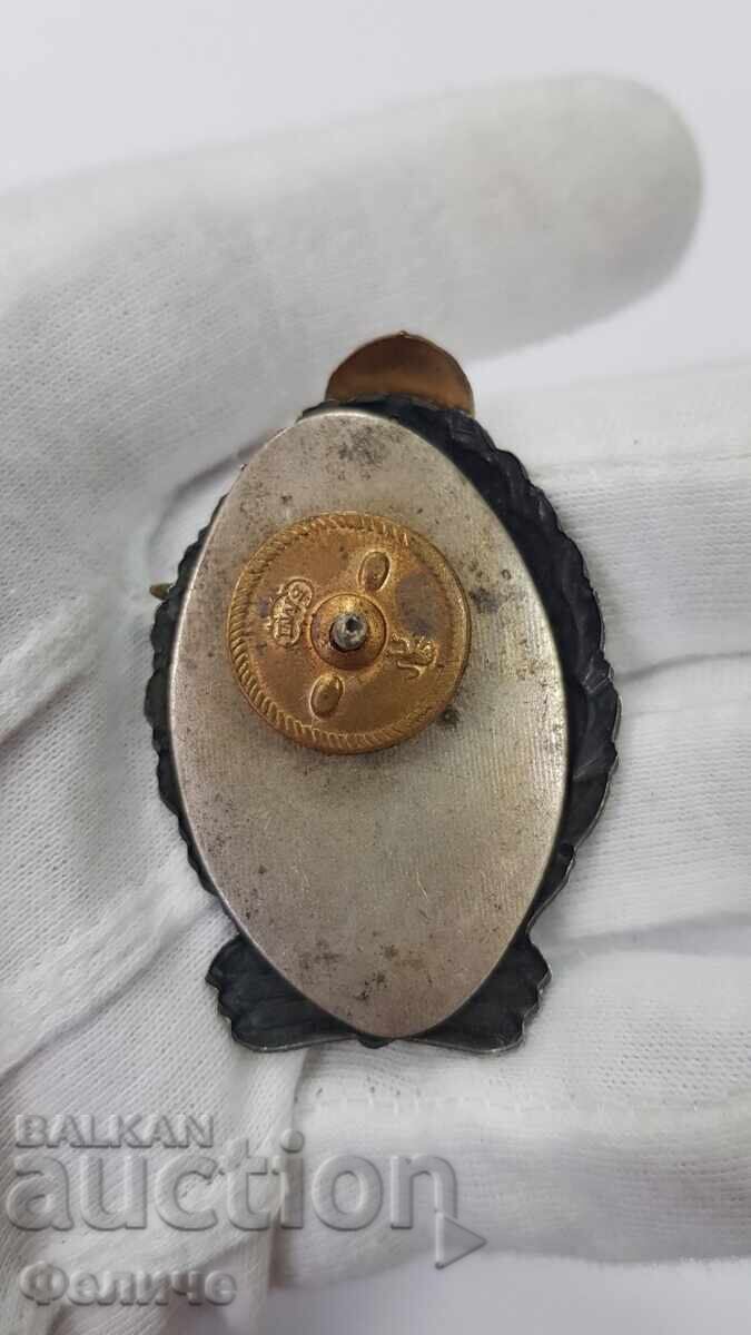 Livrarea Emblemă militară de pilot socialistă rară, clasa I